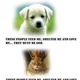 Illustration for article titled Dogs vs Cats
